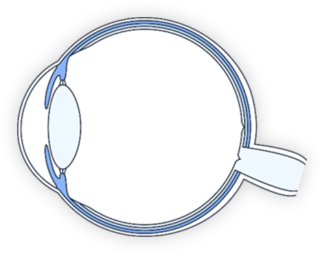 眼科ドックの内容