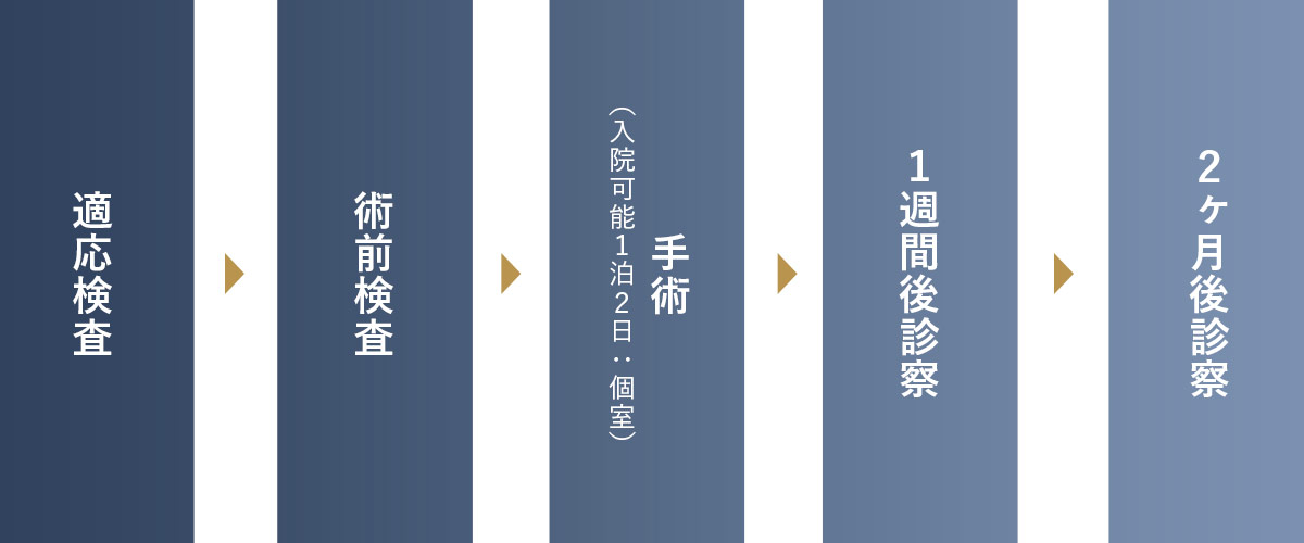 治療のスケジュール
