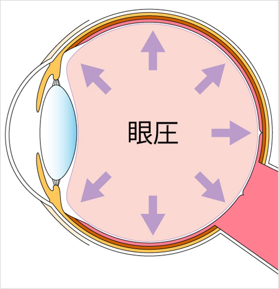 眼圧