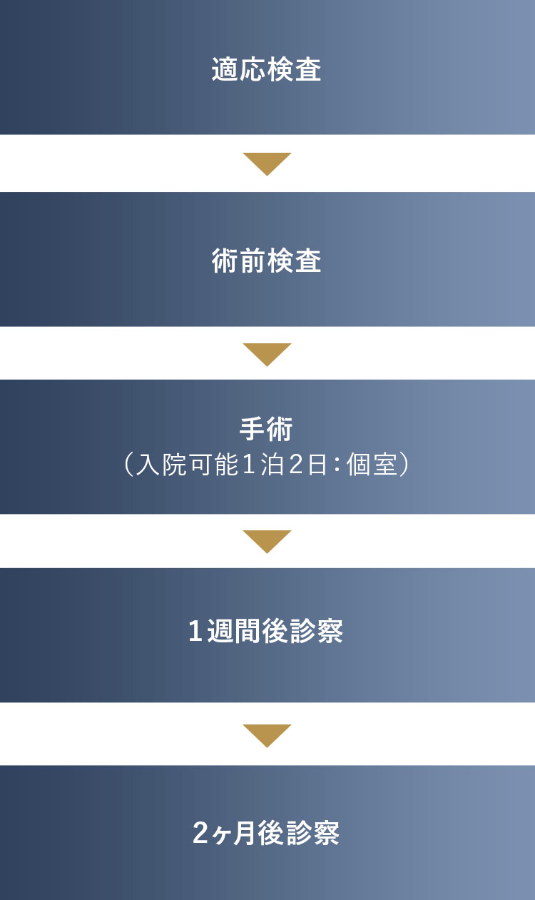 治療のスケジュール