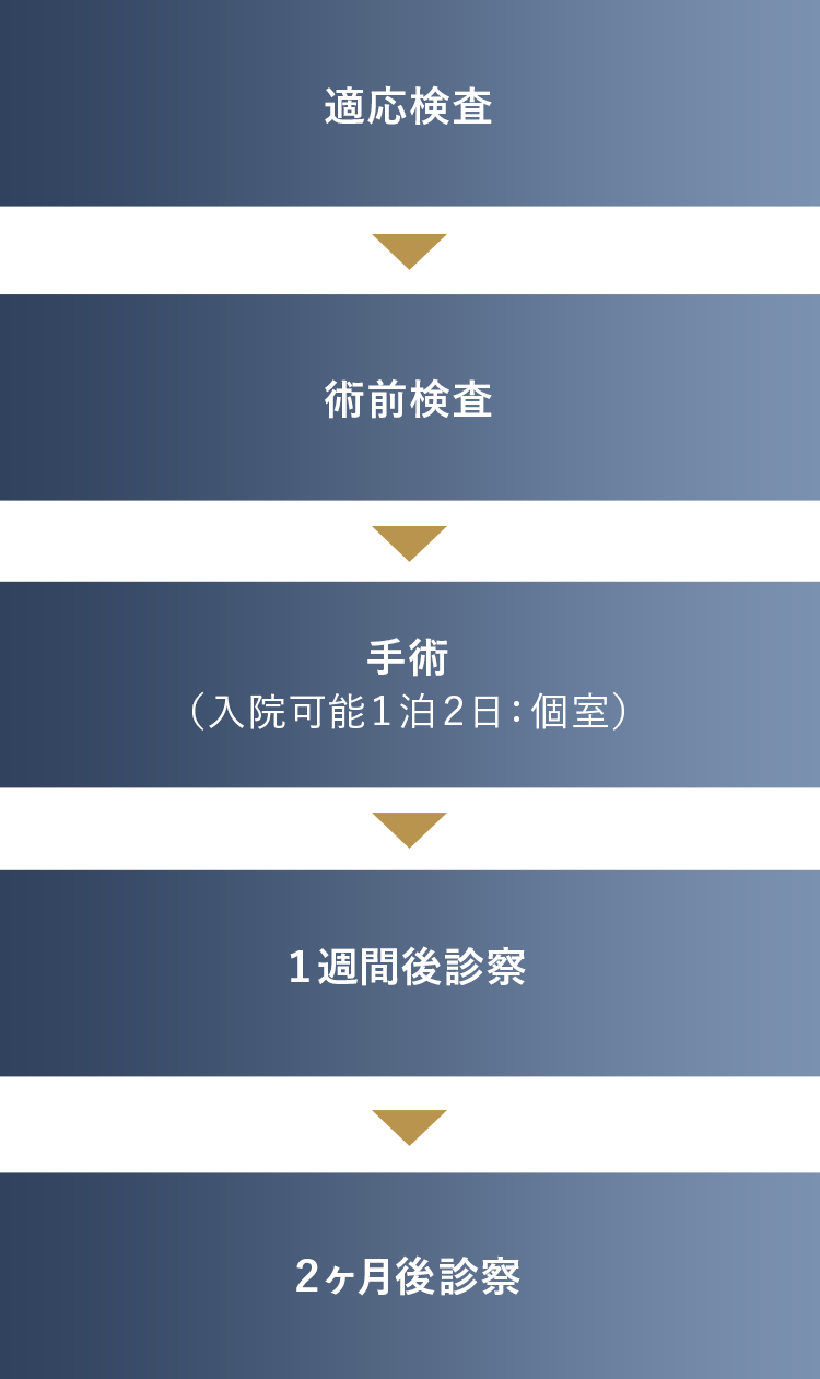 治療のスケジュール