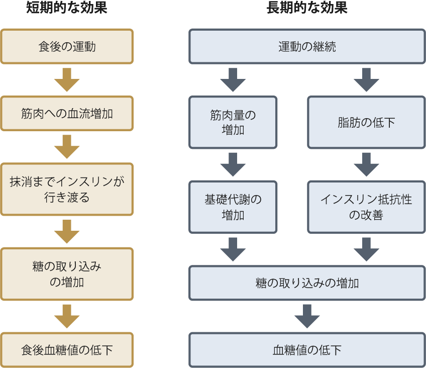 運動療法