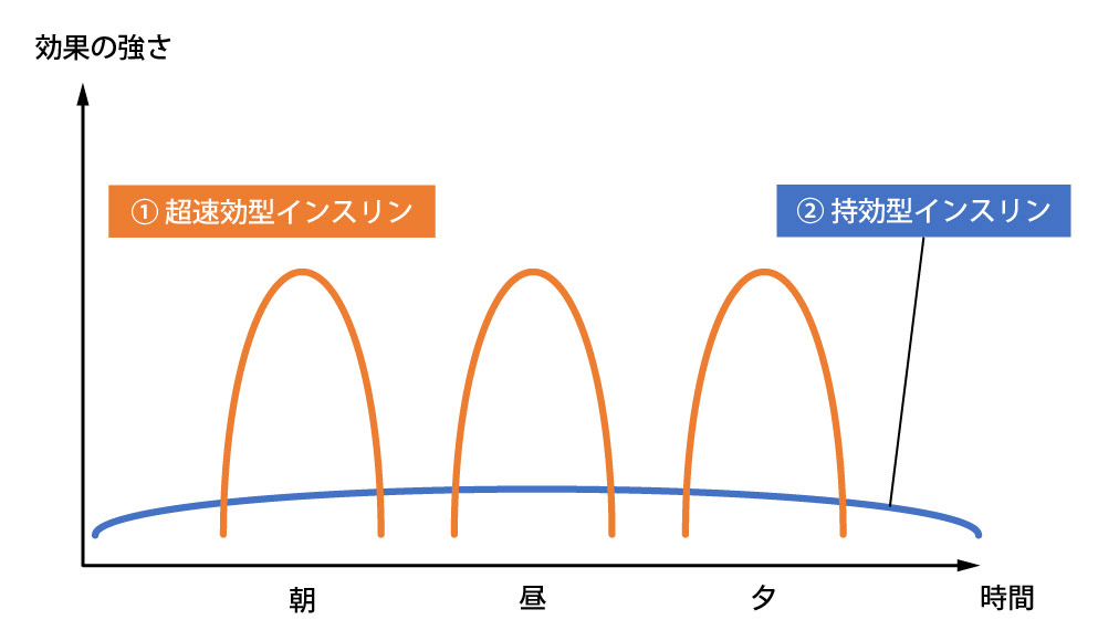 運動療法